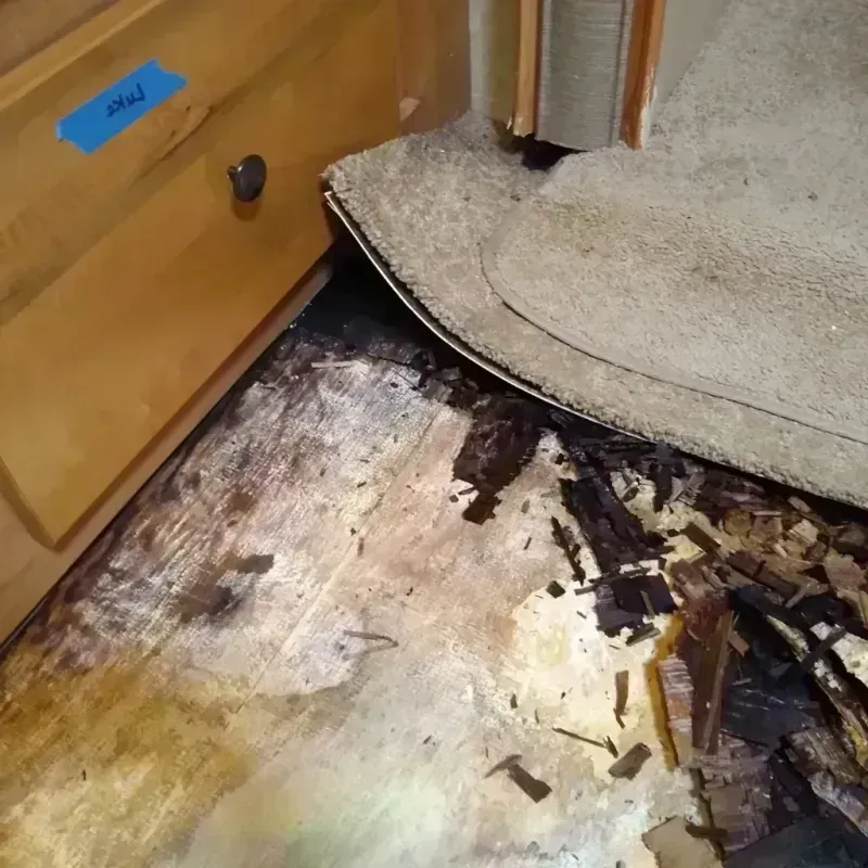 Best Wood Floor Water Damage Service in Bowie, MD